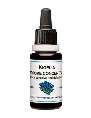 Kigelia Liposome Concentrate - The Organic Facialist